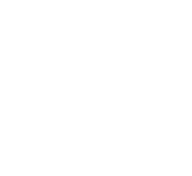 Alex Melendez Professional Tattoo